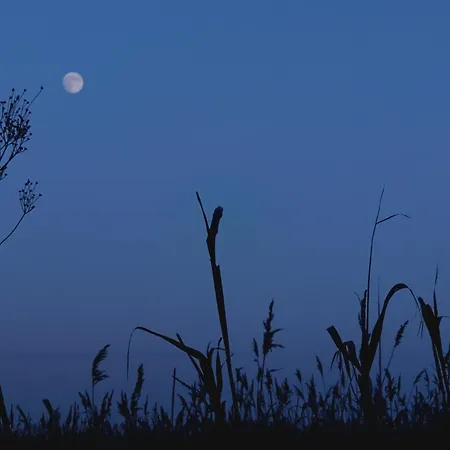 Am Nationalpark, Klausdorf, Ca 250m Bis Zur Badestelle