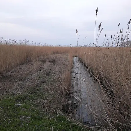 Сasa de vacaciones Am Nationalpark, Klausdorf, Ca 250m Bis Zur Badestelle Klausdorf (Vorpommern-Rugen)