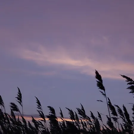 Am Nationalpark, Klausdorf, Ca 250m Bis Zur Badestelle
