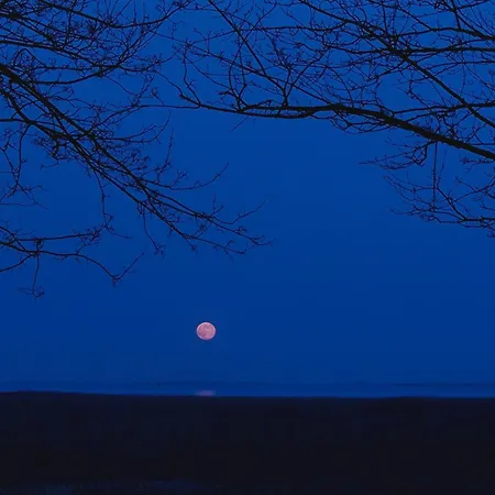 Tatil Evi Am Nationalpark, Klausdorf, Ca 250m Bis Zur Badestelle Klausdorf (Vorpommern-Rugen)