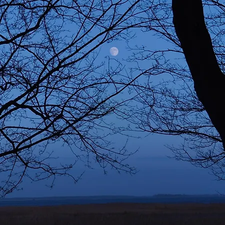 Tatil Evi Am Nationalpark, Klausdorf, Ca 250m Bis Zur Badestelle *