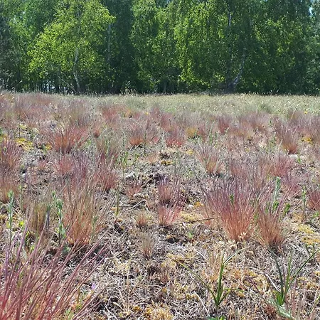 Сasa de vacaciones Am Nationalpark, Klausdorf, Ca 250m Bis Zur Badestelle *