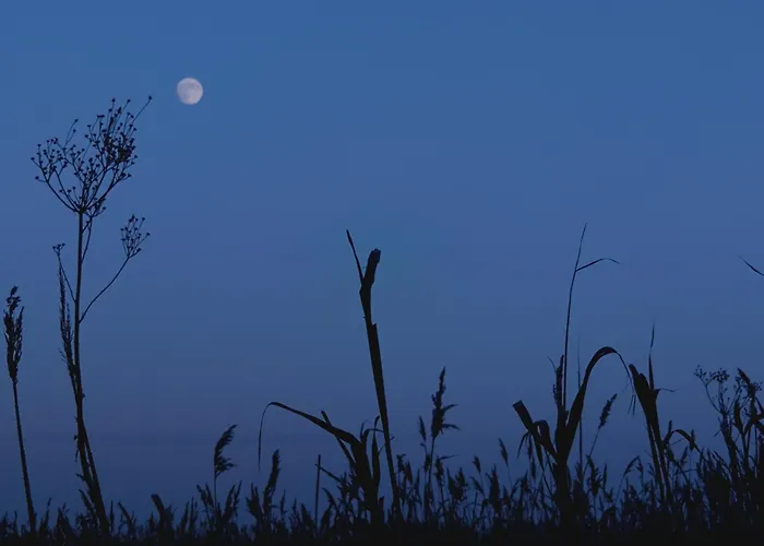 Am Nationalpark, Klausdorf, Ca 250m Bis Zur Badestelle