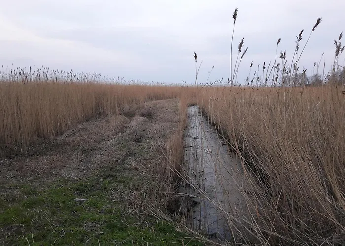 別荘 Am Nationalpark, Klausdorf, Ca 250m Bis Zur Badestelle クラウスドルフ・メクレンブルク・フォアポンメルン
