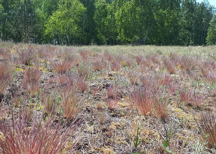 別荘 Am Nationalpark, Klausdorf, Ca 250m Bis Zur Badestelle *